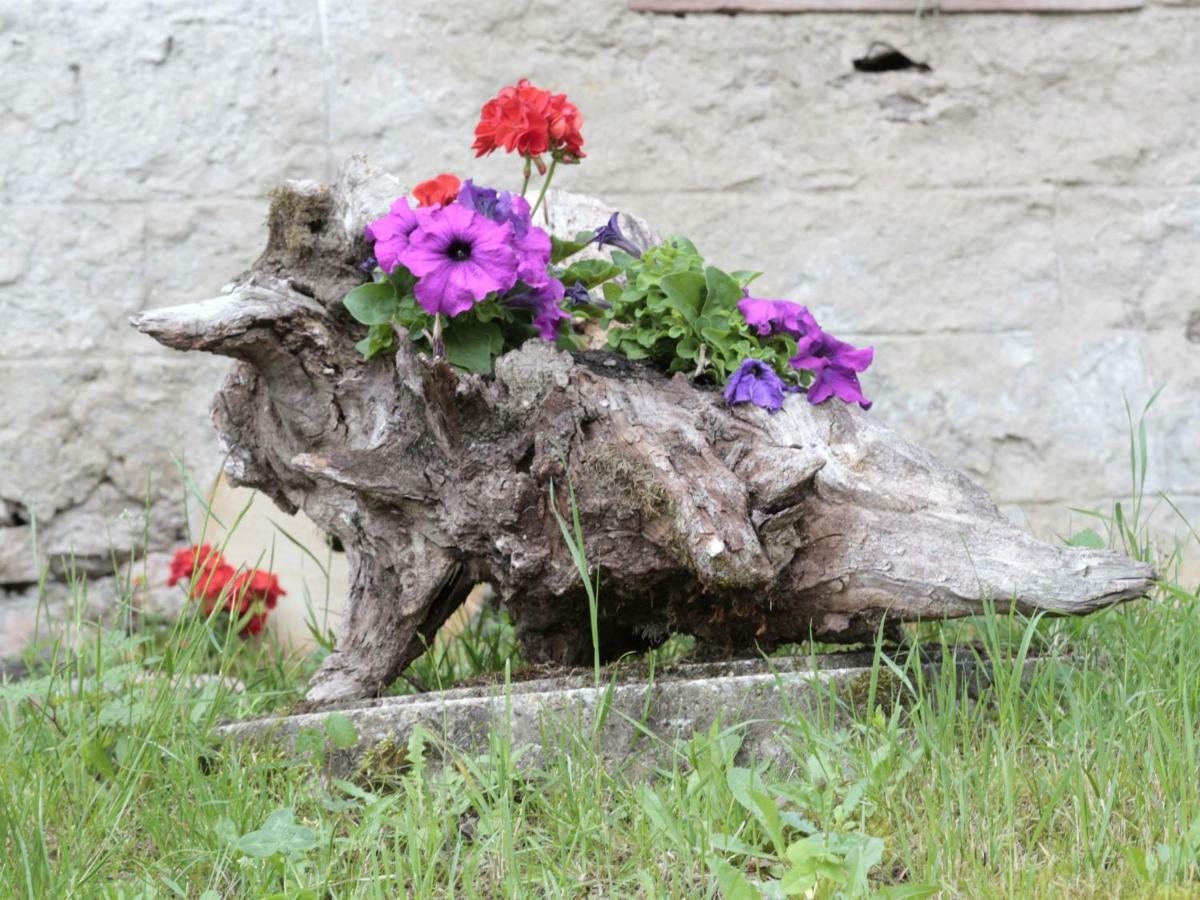 Ferienwohnungen Giedensbach Oberkirch  Exteriér fotografie